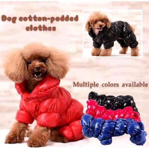 Dog Down Coat Autumn Winter Cotton-Padded Jacket Candy Color Space Teddy Pomerang Four-Legged Coat Bixiong Pet Latest Model