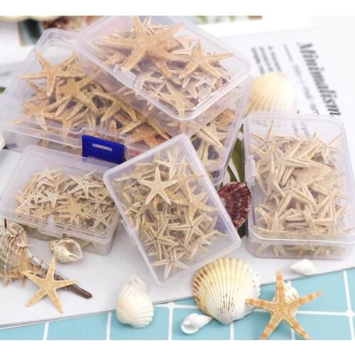 1 Box Natural Starfish Seashell Beach Craft Natural Sea Stars DIY Beach Wedding Decoration Crafts Home Decor Epoxy 1-5cm