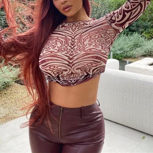 Stylish Abstract Printed Mesh T-Shirt Adults Long Sleeve Round Neck Slim Fit Wild Sexy See Through Daily Wear Crop Tops