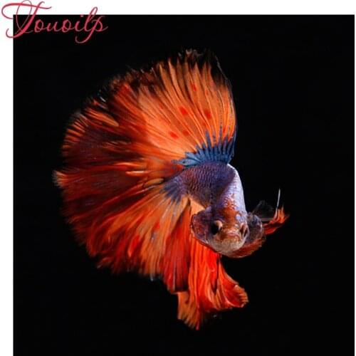Full Square/Round Drill 5D DIY "Colorful beautiful goldfish" 5d diy Diamond Painting Embroidery Cross Stitch Mosaic Decor Gift
