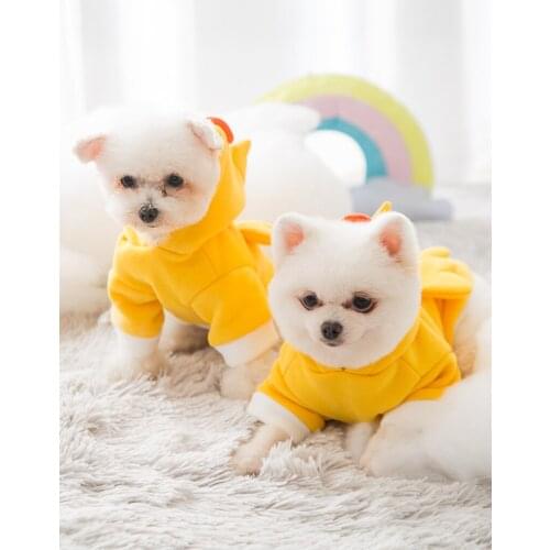 New Dog Sweater For Small And Medium Sized Pet Sweater Autumn And Winter Hooded Jacket Cute Chick Cats Pet Clothes