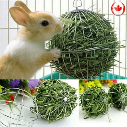 1PC Stainless Steel Pet Toys Round Sphere Feed Dispense Exercise Hanging Hay Ball Guinea Pig Hamster Rat Rabbit Pet Supplies