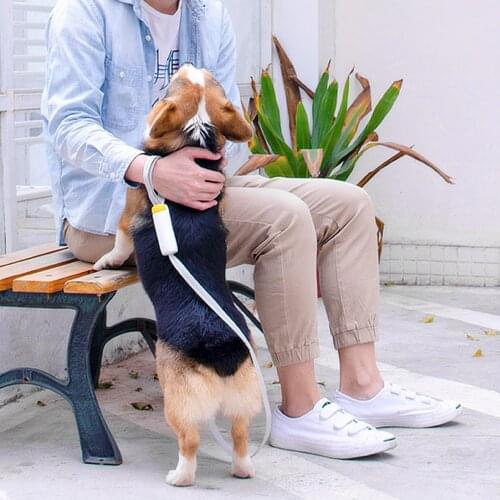 Hand Free Nylon Dog Leash No Pull Elasticity Reflective,Take a Walk Adjustable Leashes For Small Medium Dogs Pet Accessories