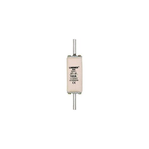 Fuses: LINDNER NH0 NT0 160A 500V 120KA 8000.1607 / NH0 NT0 100A 8000.1007 / NH0 NT0 125A 500V 120KA 8000.1257 gG/gL