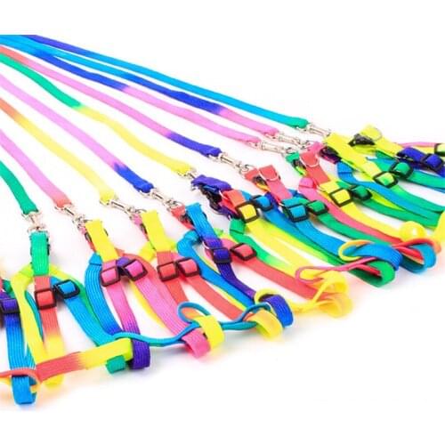 Adjustable Pet Cat Puppy Dogs Leash Harness Nylon Colorful Puppy Lead Leashes for Small Dogs Walk Dog Leash Wholesale