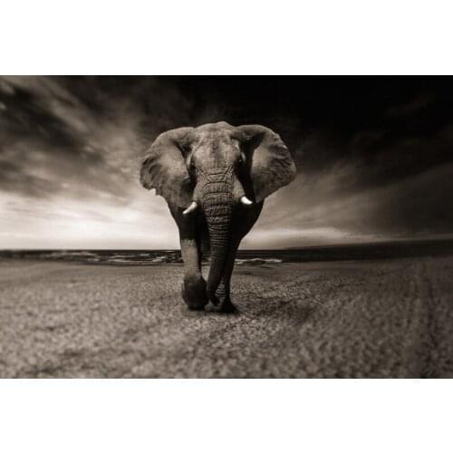 Diamond Painting Elephant Broderie Diamant Animal Diamond Cross Stitch European And American Style Home Decor Resin Diamond Art