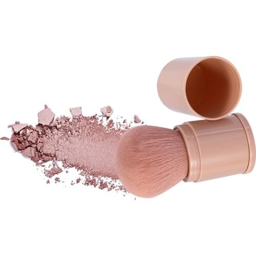 QIANLONG Blush Brushes