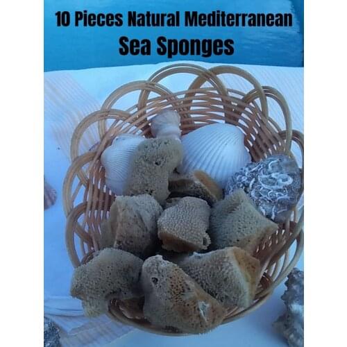 Sea Sponges Mediterranean Natural Random Shape Beauty Non-Toxic Hypoallergenic 10 Pcs/Set In 1 Safe Packet Total Lenght 50 cm