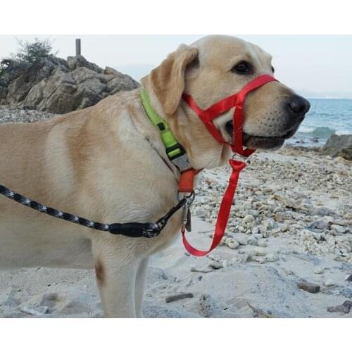 Pet dog gentle leader No Pull Control Training Leash Adjustable Harness Nose Reign Nylon Dog Head Collar Dog Training Halte