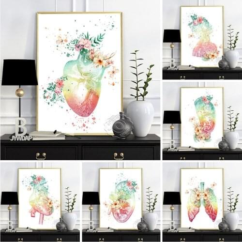 Human Structure Anatomy Diagram Poster, Visceral Organ Muscular System Art Prints, Medical Education Wall Decor, Doctor Gift