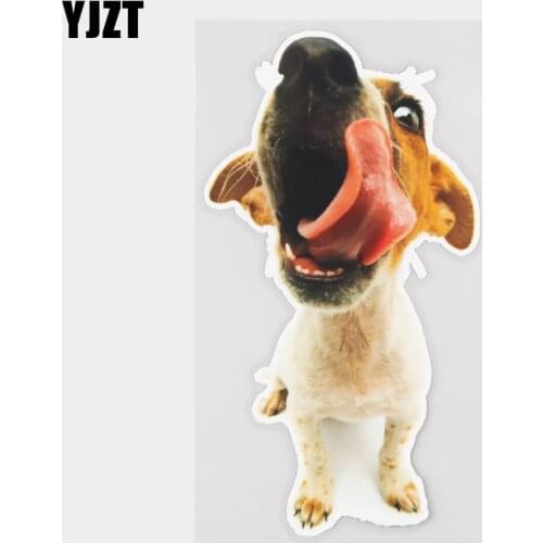 YJZT 11×20.2CM Jack Russell Pekingese Funny Dog Scratch Occlusion Decoration Stickers Car Accessories 21A-0050