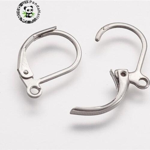 500pcs 316 Stainless Steel Lever Back Clasps Hook Earrings for jewelry making Accessories DIY Crafts 15.8x10x1.8mm, Hole:1mm F60