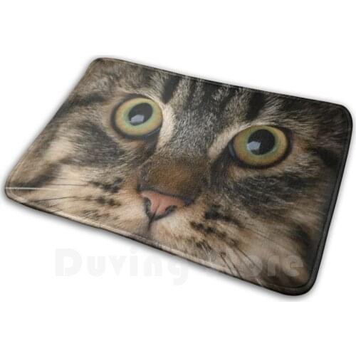 Siberian Cat Soft Non-Slip Mat Rug 1115 Carpet Cushion Eye View Sweet Siberian Cat Cat Cute Cats Funny Animal Kitten