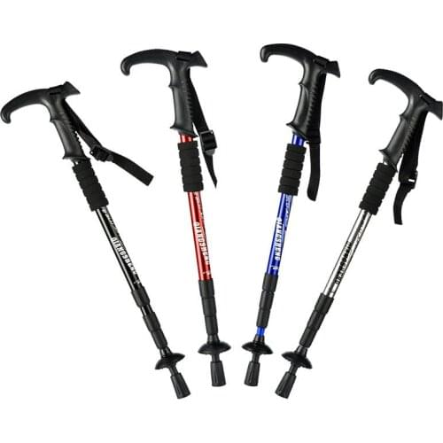 Ciwa Nordic Walking Sticks