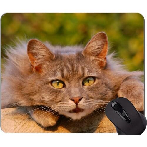 Gaming Mouse Pad Custom,Pet animal defocused blur cat Non-Slip Rubber Base Mousepad