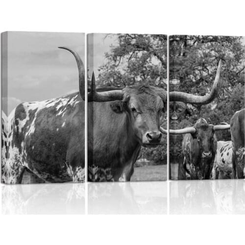 3 Pieces 5D Diy Diamond Painting Highland Texas Longhorn Cow Full Square Round Drill Embroidery Wedding DecorationsZP-4103