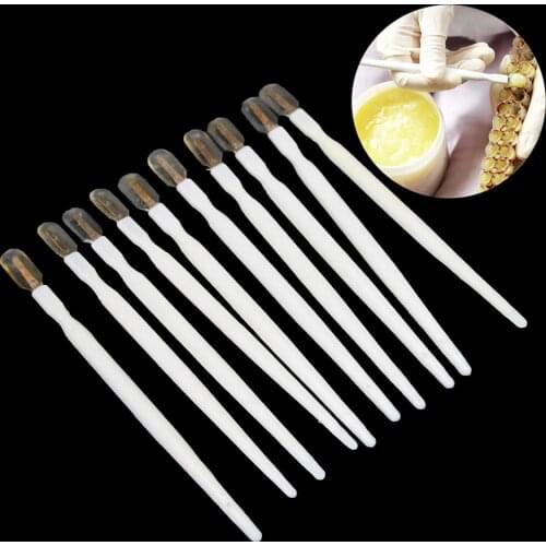 12PCS Beekeeping Royal Jelly Scraper Taken Pens Squeegee Pen Bee Milk Take Pulp Grafting Supplies Pulps Bees Tools Supplies