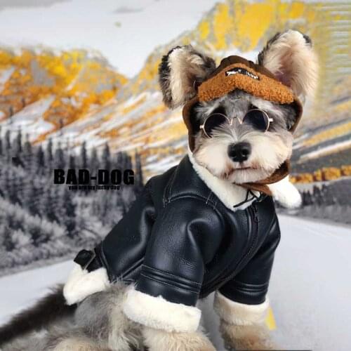 Dog Jacket Winter Clothes Pet Ropa Perro Ubranka Dla Psa Costume Para Coat Cat De Pug Clothing Gato Fur Collar Fleece PU Leather