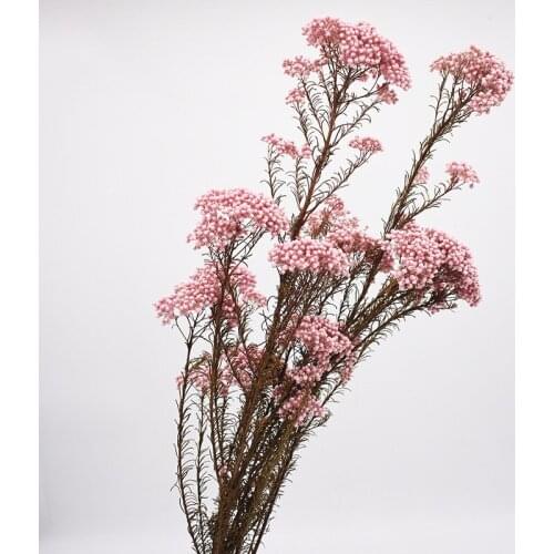 50-60cm Mi Flower Bouquet Eternal Flower Real Dried Floral Natural Home Decoration Wedding Party DIY Arrangement Decor 80 Gram