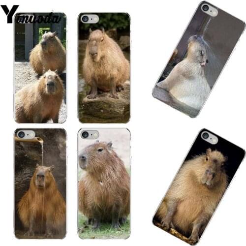Yinuoda Animal Funny Capybara Bling Cute Phone Case for iPhone 12 8 7 6 6S Plus X XS MAX 5 5S SE XR 11 12 pro promax