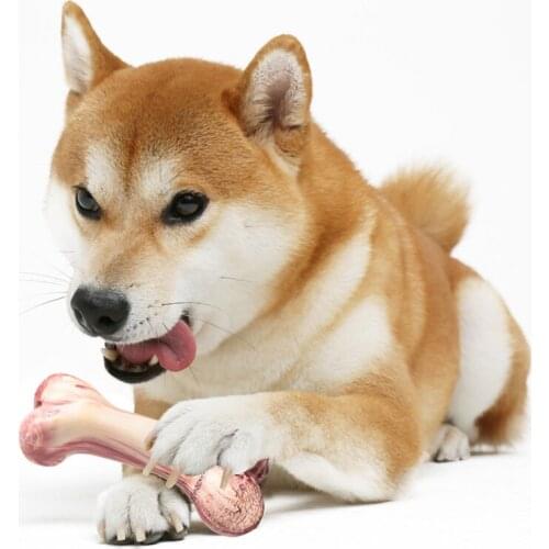 Pet toys for large dog rubber chew pet supplies dog training bones joint toy Interesting products accessories Molar Teeth Stick