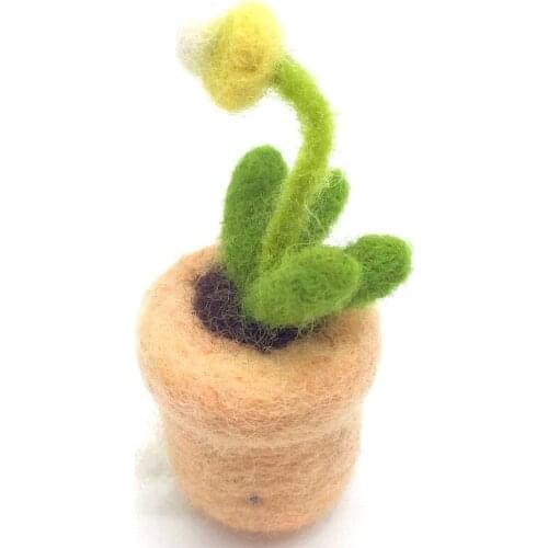 Succulent Needle Felting Kits with 3 Felting Needles, English Manual, Enough Wool, Suitable for Beginners (G)