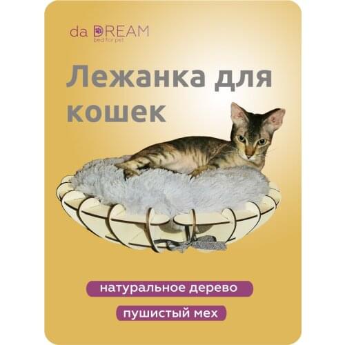 Da Dream Products For Cats