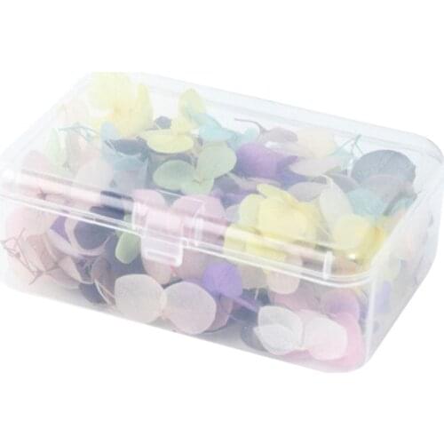 DIY Nail Art Filler Popular Dry Eternal Flowers Beauty Nails Large Applique Decorative Jewelry Crafts Making Epoxy Filling