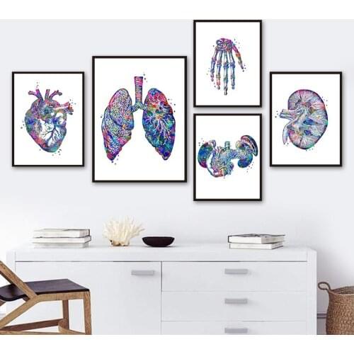 Anatomy Organs Heart Liver Lung Kidney Wall Art Canvas Painting Nordic Posters And Prints Wall Pictures For Clinic Room Decor