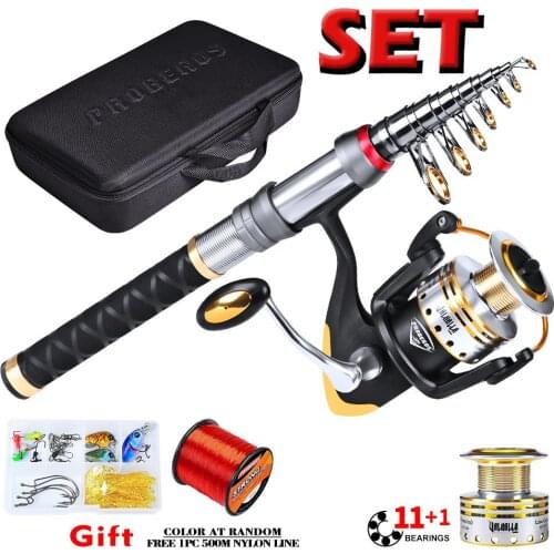 PRO BEROS Metal Fishing 11+1 Bearing Balls Spinning reel 19kg MAX DRAG Package Fishing Rod + Fishing Reel + Bag + Lure