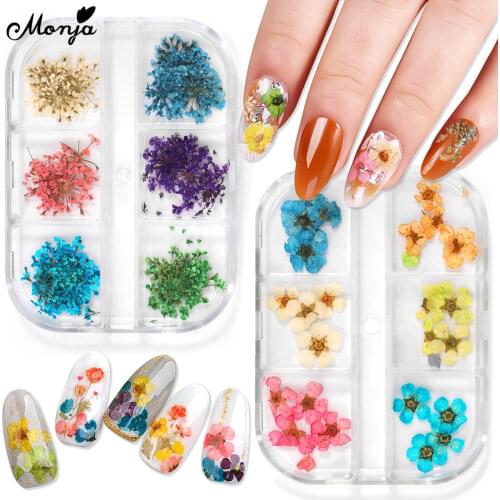 Monja 6 Grids/Box 2 Types Multiple Color Blooming Dried Flower Nail Art Decoration Mixed Style Bloom Flower Manicure Accessories