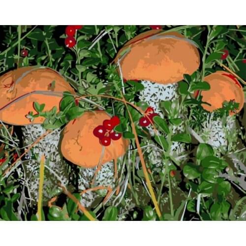 UnFrame picture oil painting by numbers wall decor diy painting on canvas for home decor 4050 mushroom