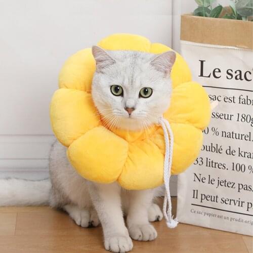 Pet Collar Cat Neck Collars Recovery Collar Cone Soft Anti-scratch Neck Protector For Pets Pets Protective Leashes XS/S/M/L