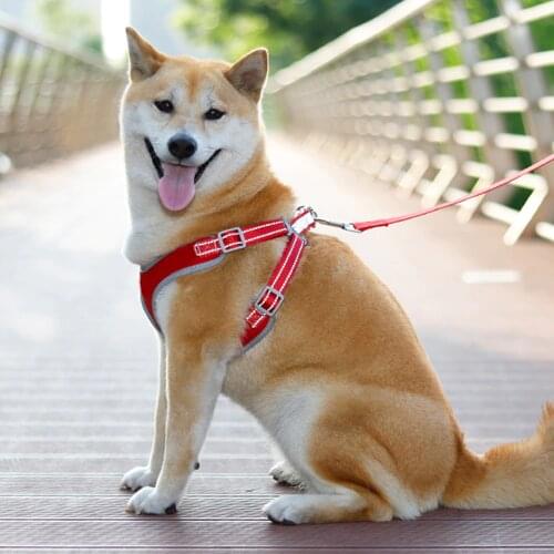 Breathable Dog Harness for Summer With Leash No Pull Harnesses for Small/Medium Dogs Puppies Reflective at Night Pet Products