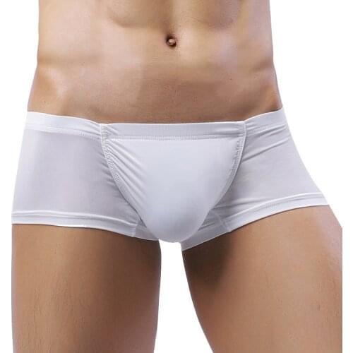 Mens Boxers Bulge Ice Silk See Through One Piece Underpants Sexy Men Underwear Low Waist Panties Lingerie Intimates