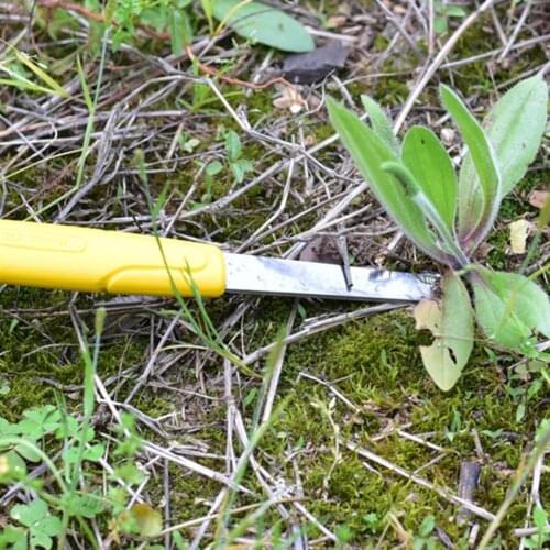 Garden Weeder Tool Stainless Steel Fork Head Extractor Patio Garden Remove Weeds Trimming Shovel Deburring Gadgets