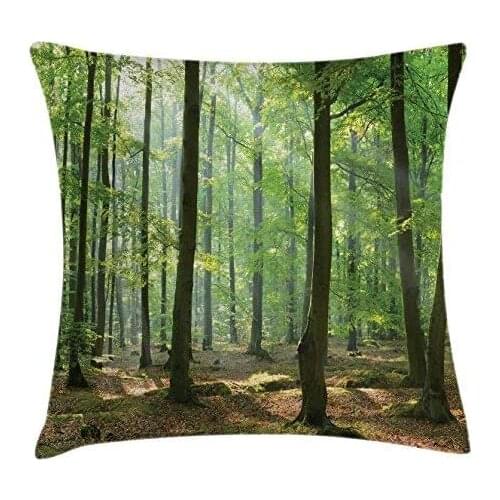 Pooizsdzzz Fore Throw Pillow Cushion Cover, Morg in The Fore Freshness Natural Environment Magical Outdoor Picture Print