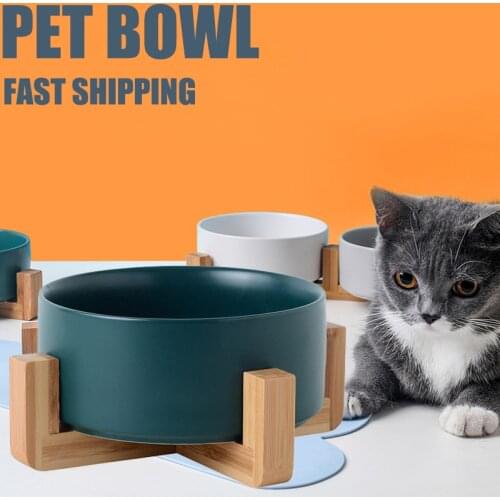 Ceramic Double Cat Bowl Dog Bowl with Stand Pet Feeding Bowl Drinking Bowl Pet Cat and Dog Feeding Supplies