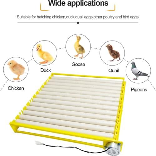 High Quality Incubator Tray Plastic 13 Rollers 105 Eggs 68 Duck Eggs 298 Bird Eggs Tray110V/220V12Vwith Automatic Rotating Motor