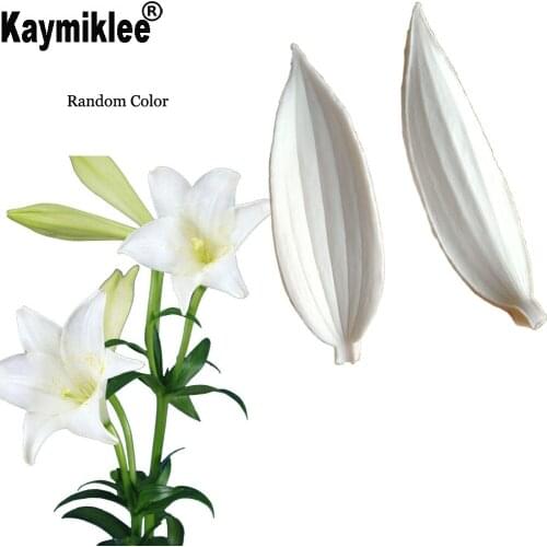 Lily Leaf Veiners Silicone Mold Fondant Mould Cake Decorating Tools Chocolate Gumpaste,Sugarcraft Mold M2114