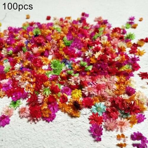 100Pcs Dried Flower Head Chrysanthemum DIY Handmade Craft Nail Art Filling Decoration Artificial Dried Flower DIY Accessories