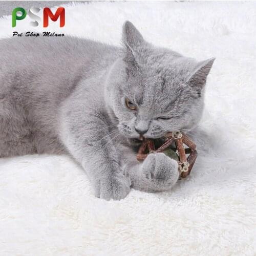 PSM Toys For Cats