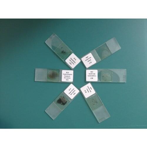 25pcs Mineral grinding slides set