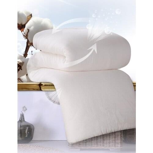 200*230 Thick Comforter Fresh Long-Staple Cotton edredones Queen Blanket Gauze Quilt Core Pregnant duvet Elderly edredom futon
