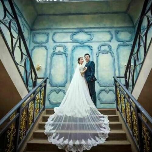 Elegant 3.5 Meter Long Sequins Lace Wedding Veil Cathedral Bridal Veils + comb