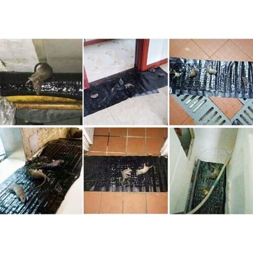 Ловушки DesertCreations China At AliExpress