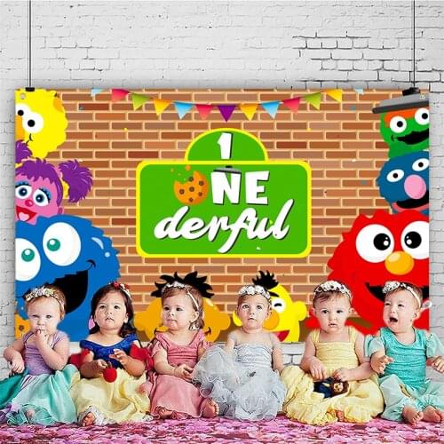 Sesame Brick Wall Photography Backdrop 1st Onederful Photo Booth Wall Decor Theme Birthday Party Supplies for Baby One Year Old