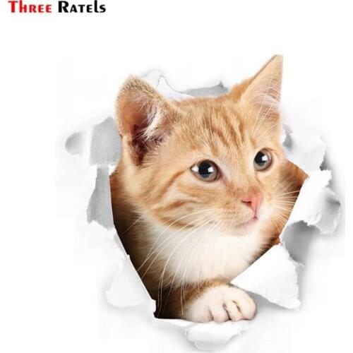 Three Ratels FC65 3D Cute Cat View Smashed Wall Sticker For Door Bedroom Wall Refrigerator Window Toilet Ipad Laptop Home