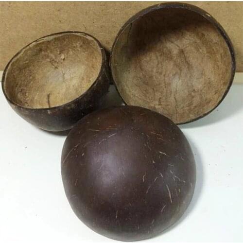 Coconut Bowl Natural Rough Outside Jumbo Size Best Gift Hand Painted Coconut Bowl Natural Eco-Friendly