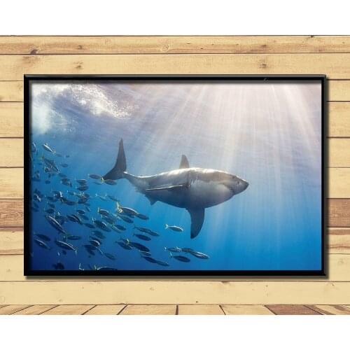 Shark Huge Strong Marine Animal (23) Wall Posters Prints Silk Art Painting For Home Wall Bedroom Decor